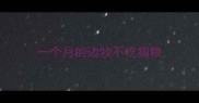 一个月的边牧不吃狗粮