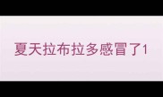 夏天拉布拉多感冒了