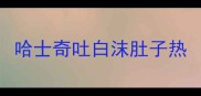 哈士奇吐白沫肚子热