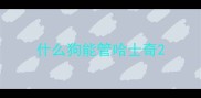 什么狗能管哈士奇