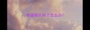 泰迪狗太胖了怎么办