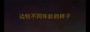 边牧不同年龄的样子