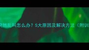 拉布拉多突然乱叫怎么办5大原因及解决方法附训练指南