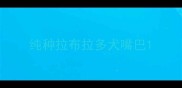 纯种拉布拉多犬嘴巴
