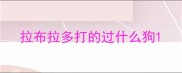 拉布拉多打的过什么狗
