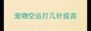 宠物空运打几针疫苗