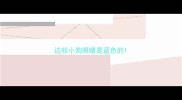 边牧小狗眼睛是蓝色的