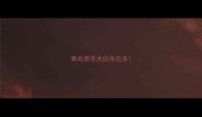 青岛禁养犬拉布拉多