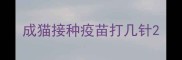 成猫接种疫苗打几针