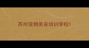 苏州宠物美容培训学校
