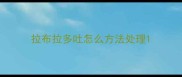 拉布拉多吐怎么方法处理