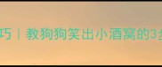 金毛训练技巧教狗狗笑出小酒窝的3步实操指南