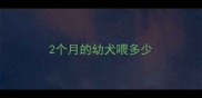 2个月的幼犬喂多少