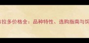 灵石拉布拉多价格全品种特性选购指南与饲养成本