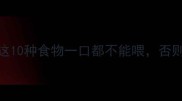 边牧幼犬必看这10种食物一口都不能喂否则可能变毛孩子