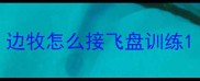 边牧怎么接飞盘训练
