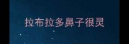 拉布拉多鼻子很灵