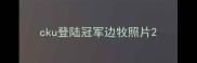 cku登陆冠军边牧照片