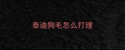 泰迪狗毛怎么打理