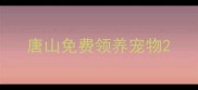 唐山免费领养宠物