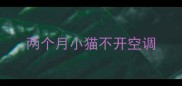 两个月小猫不开空调