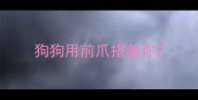 狗狗用前爪搭着你