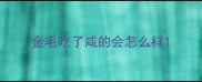 金毛吃了咸的会怎么样