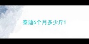 泰迪6个月多少斤