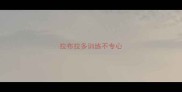 拉布拉多训练不专心