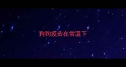 狗狗疫苗在常温下