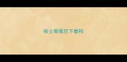 哈士奇尾巴下垂吗