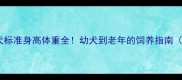 拉布拉多犬成犬标准身高体重全幼犬到老年的饲养指南附选购建议
