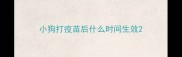 小狗打疫苗后什么时间生效