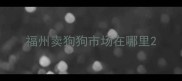 福州卖狗狗市场在哪里
