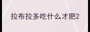 拉布拉多吃什么才肥