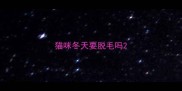 猫咪冬天要脱毛吗