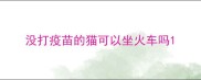 没打疫苗的猫可以坐火车吗
