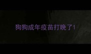 狗狗成年疫苗打晚了