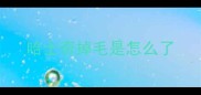 哈士奇掉毛是怎么了