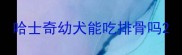 哈士奇幼犬能吃排骨吗