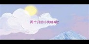 两个月的小狗哆嗦