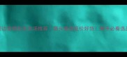 长沙周边宠物批发市场推荐源头直供低价好货新手必看选品攻略