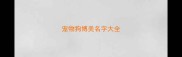 宠物狗博美名字大全
