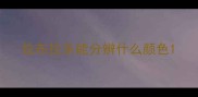 拉布拉多能分辨什么颜色