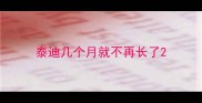 泰迪几个月就不再长了
