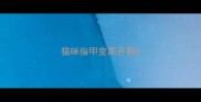 猫咪指甲变黑开裂