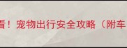 自驾带狗狗必看宠物出行安全攻略附车内必备清单