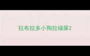 拉布拉多小狗拉绿屎