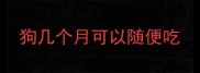 狗几个月可以随便吃