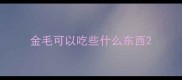 金毛可以吃些什么东西